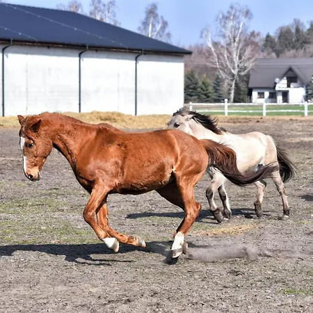 Osrodek Lbn-huta Otel