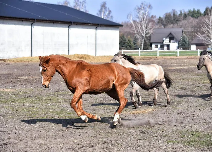 Osrodek Lbn-huta Otel